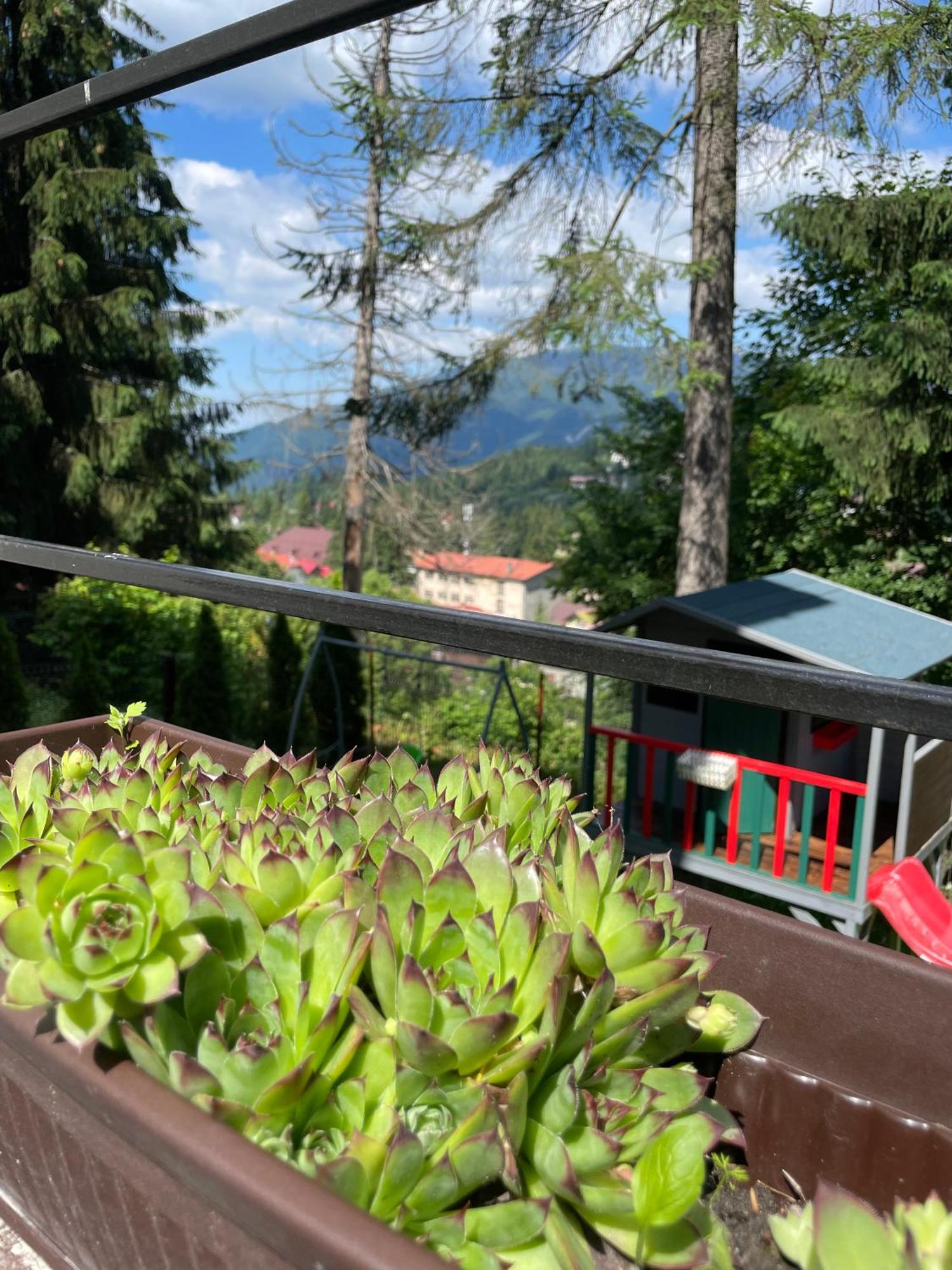Pension Casa Del Sol 프레데알 외부 사진