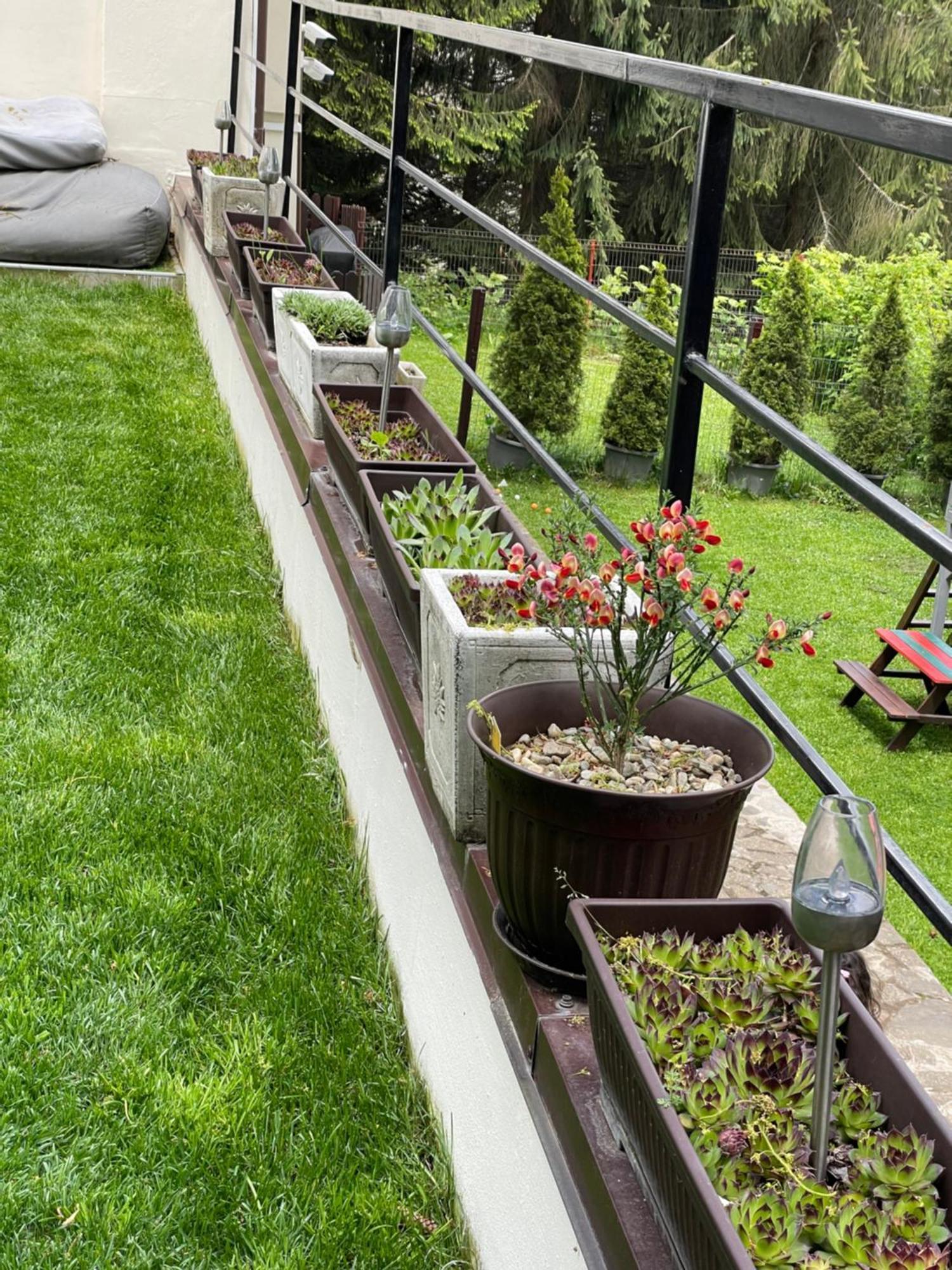 Pension Casa Del Sol 프레데알 외부 사진
